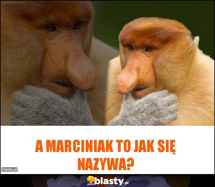 A Marciniak to jak się nazywa?