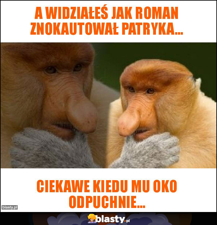 A widziałeś jak Roman znokautował Patryka...