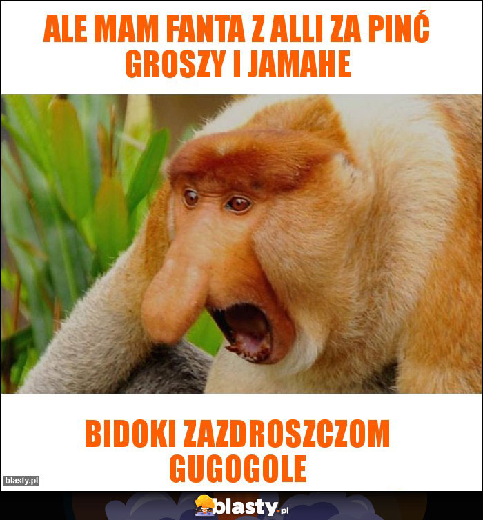 Ale mam fanta z alli za pinć groszy i jamahe