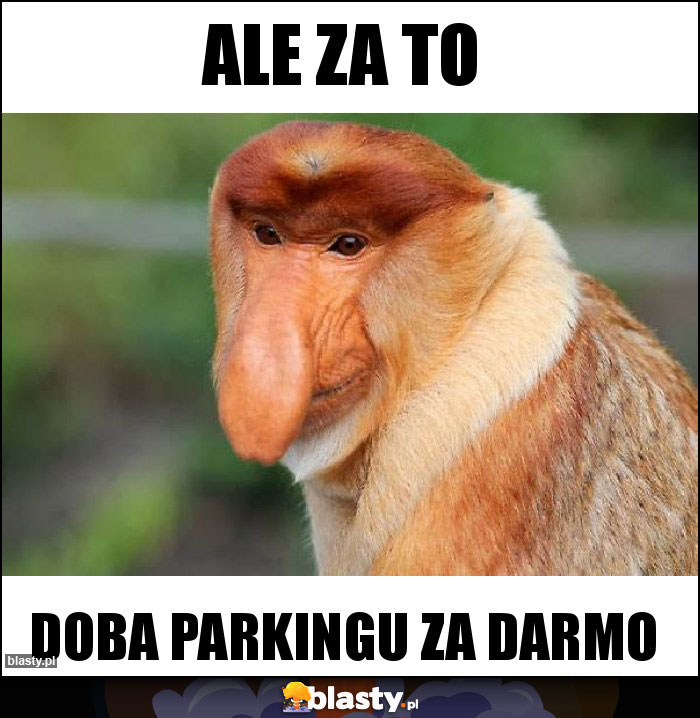 Ale za to