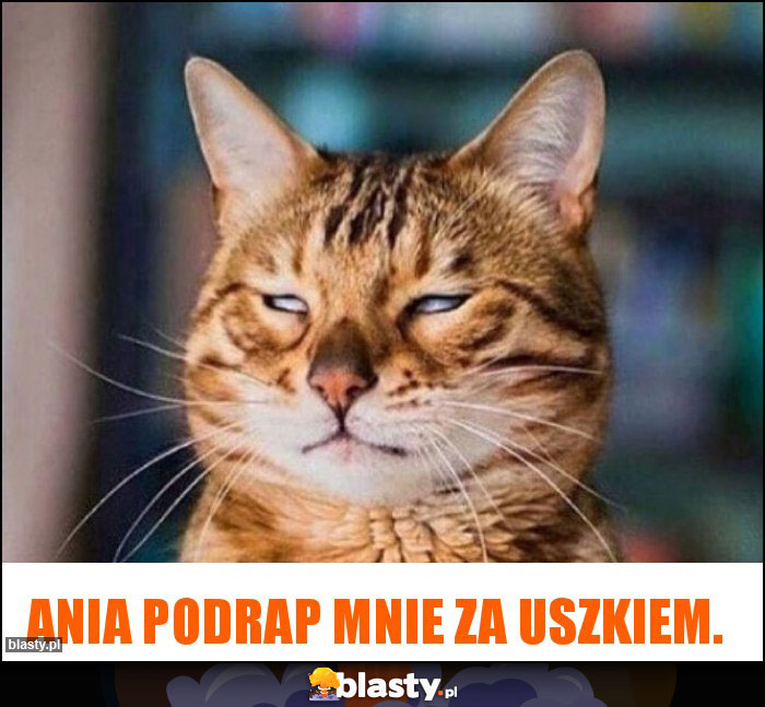 Ania podrap mnie za uszkiem.