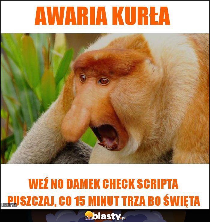 AWARIA KURŁA