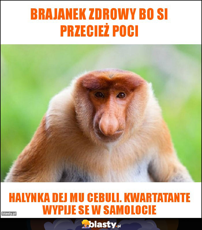 Brajanek zdrowy bo si przecież poci