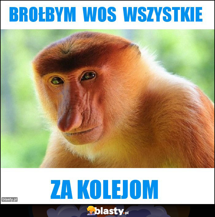 Brołbym  wos  wszystkie