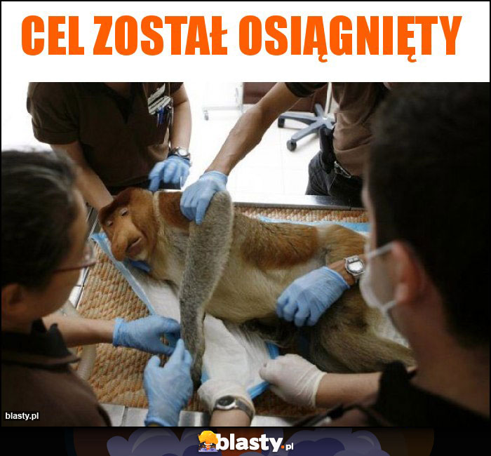 CEL ZOSTAŁ OSIĄGNIĘTY