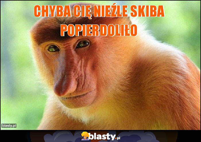 Chyba Cię nieźle Skiba popierdoliło