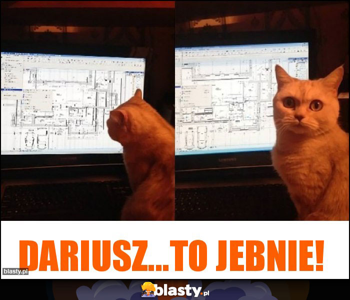 Dariusz...to jebnie!