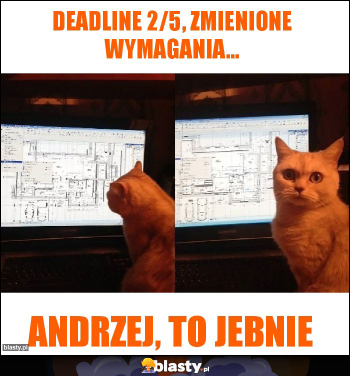 deadline 2/5, zmienione wymagania...