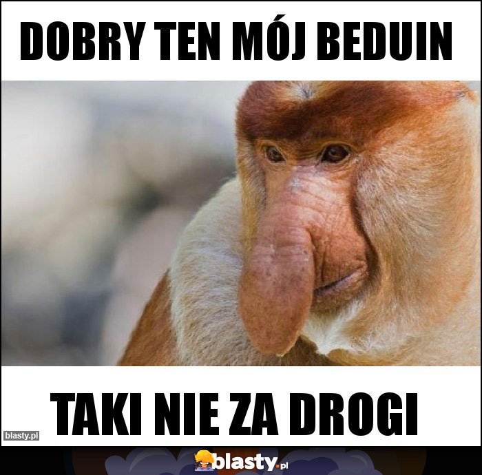 Dobry ten mój Beduin