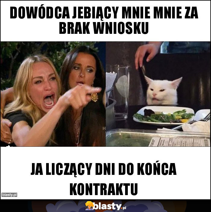 Dowódca jebiący mnie mnie za brak wniosku