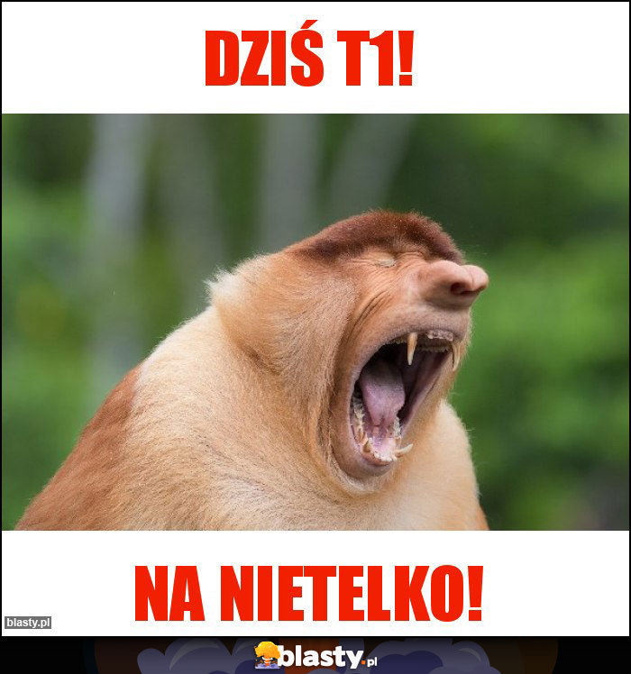 DZIŚ T1!