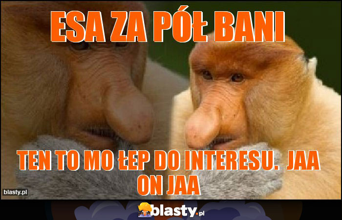 Esa za pół bani