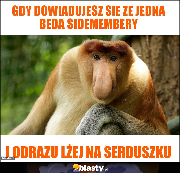 Gdy dowiadujesz sie ze jedna beda sidemembery