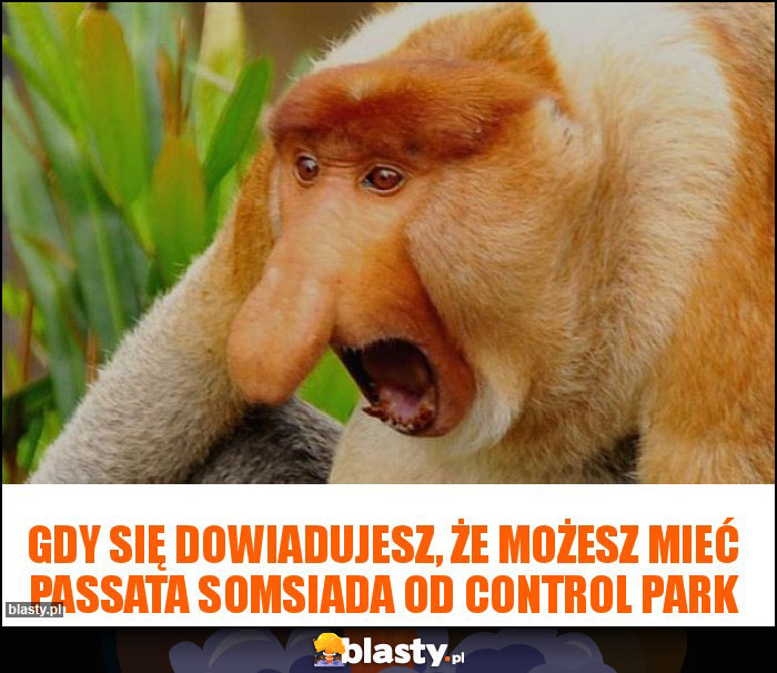 Gdy się dowiadujesz, że możesz mieć Passata somsiada od Control Park