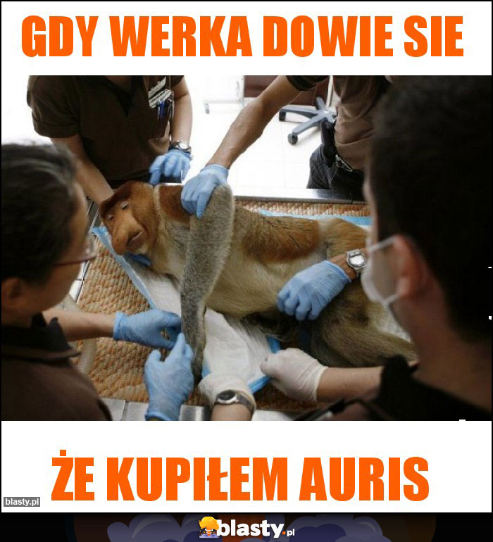 Gdy werka dowie sie