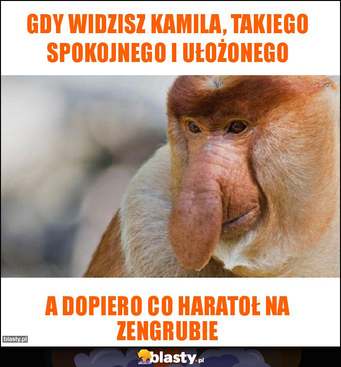 Gdy widzisz Kamila, takiego spokojnego i ułożonego