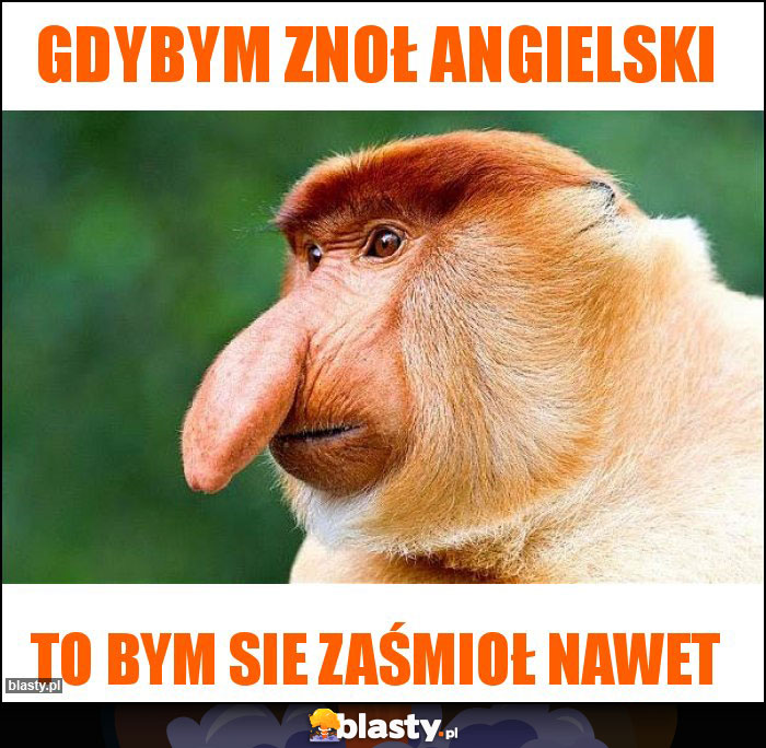 Gdybym znoł angielski