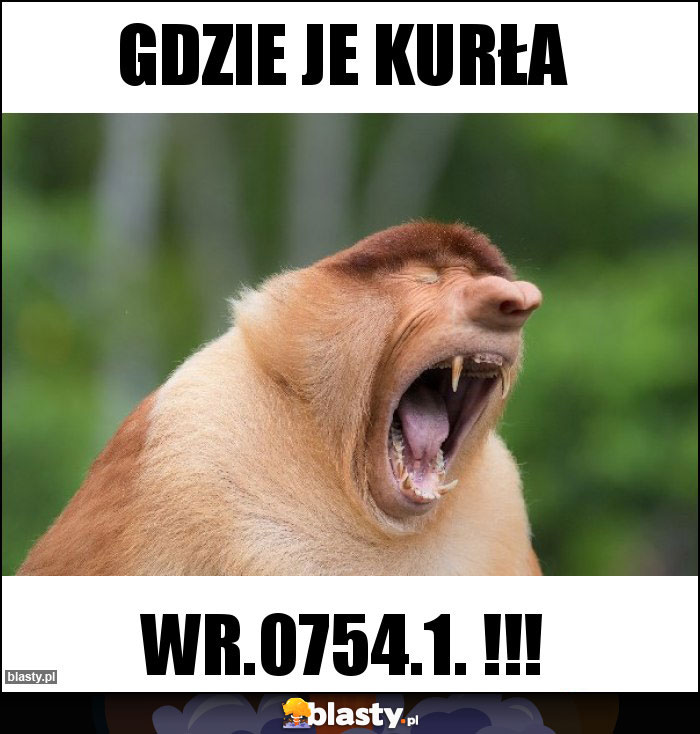 gdzie je kurła