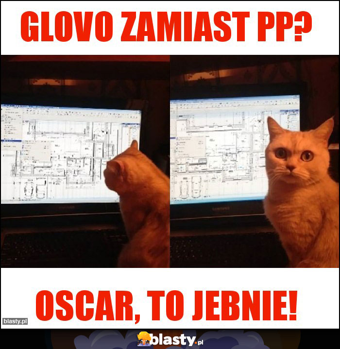 GLOVO ZAMIAST PP?