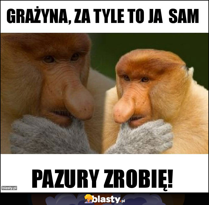 GRAŻYNA, ZA TYLE TO JA  SAM