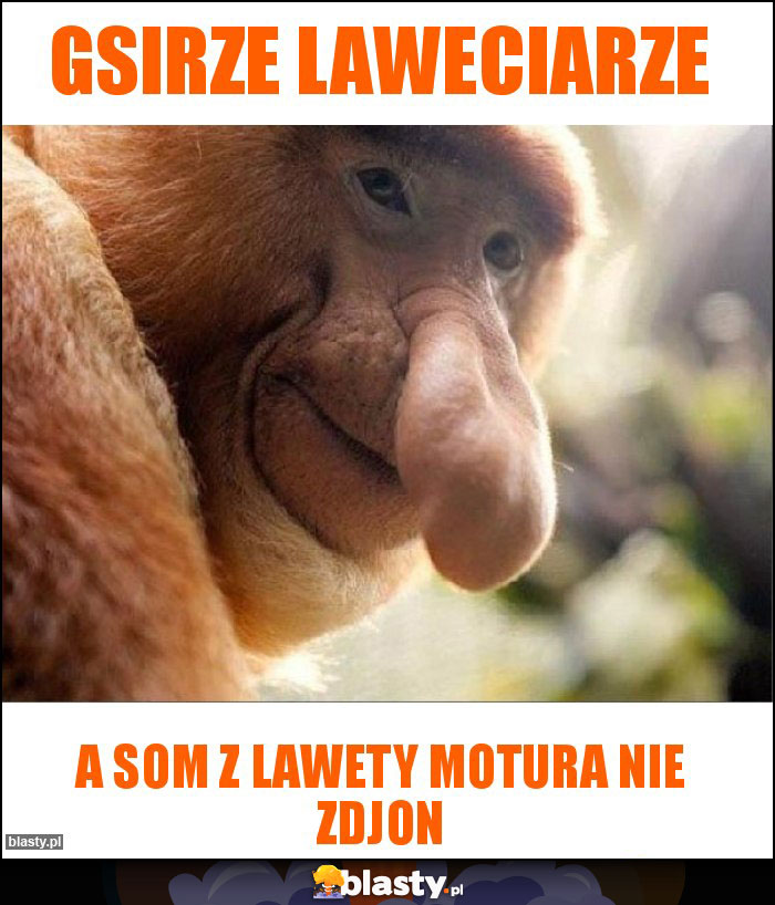 GSirze laweciarze