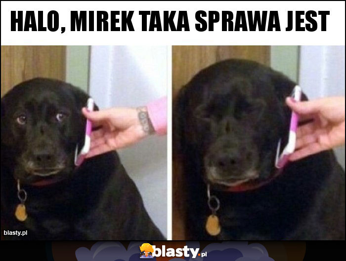 Halo, Mirek taka sprawa jest