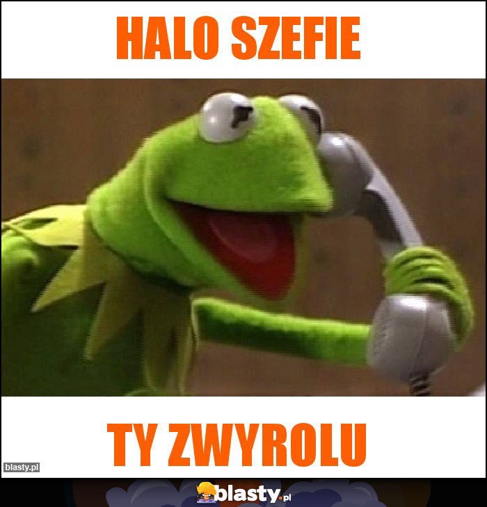 Halo szefie