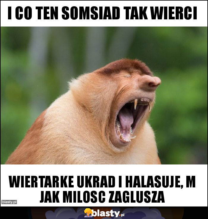 I co ten somsiad tak wierci