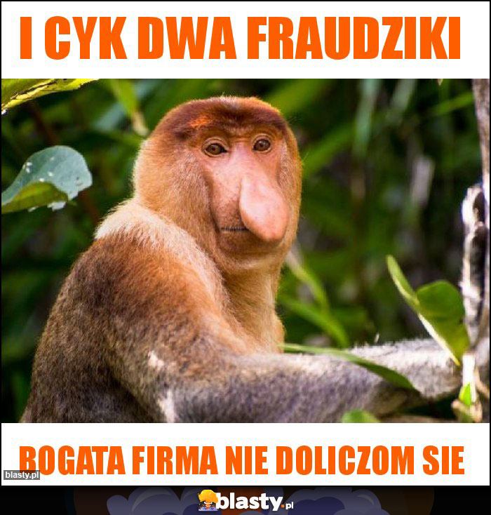 I CYK DWA FRAUDZIKI