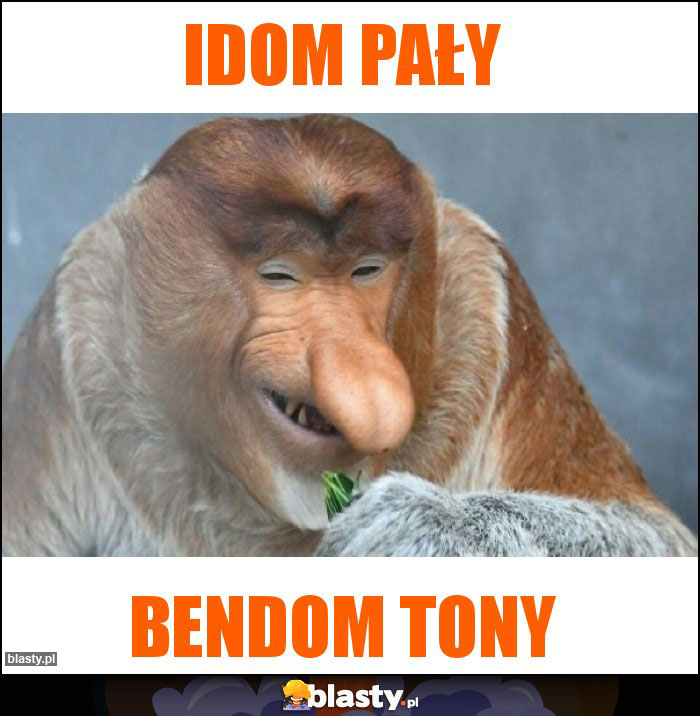 Idom pały