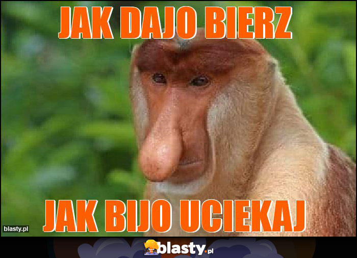 Jak dajo bierz