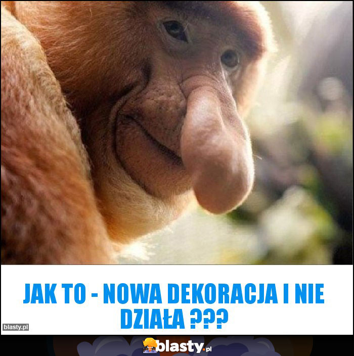 JAK TO - NOWA DEKORACJA I NIE DZIAŁA ???