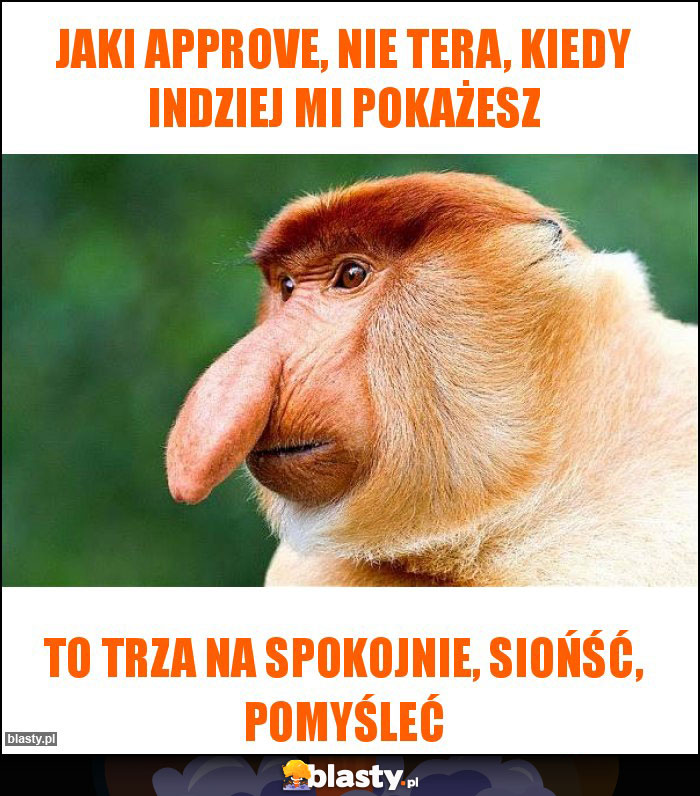 jaki approve, nie tera, kiedy indziej mi pokażesz