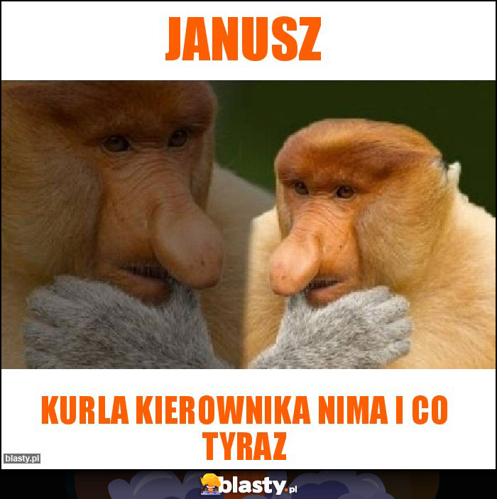 Janusz