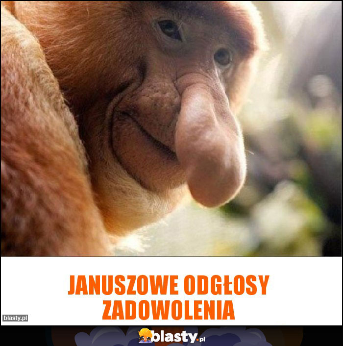 januszowe odgłosy zadowolenia