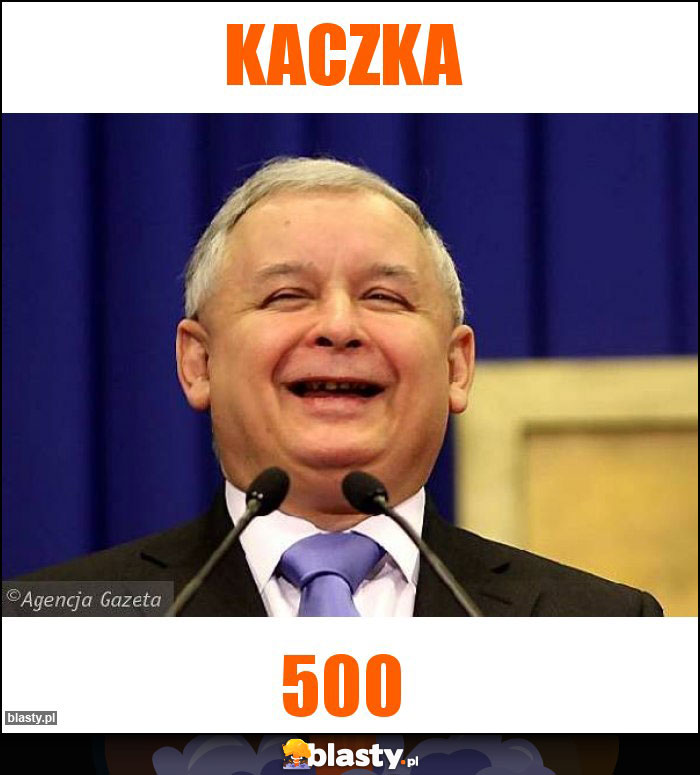 Kaczka