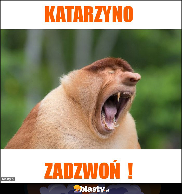 Katarzyno