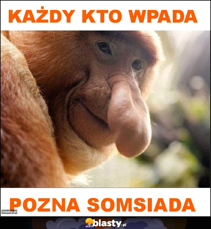 Każdy kto wpada