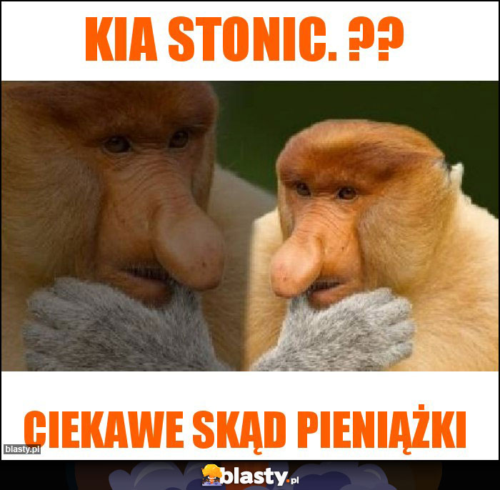 Kia stonic. ??