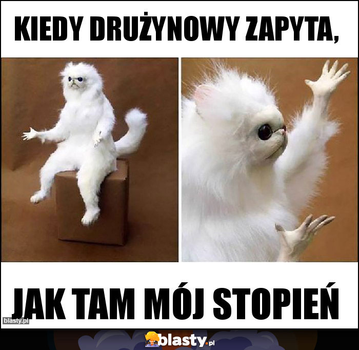 Kiedy drużynowy zapyta,