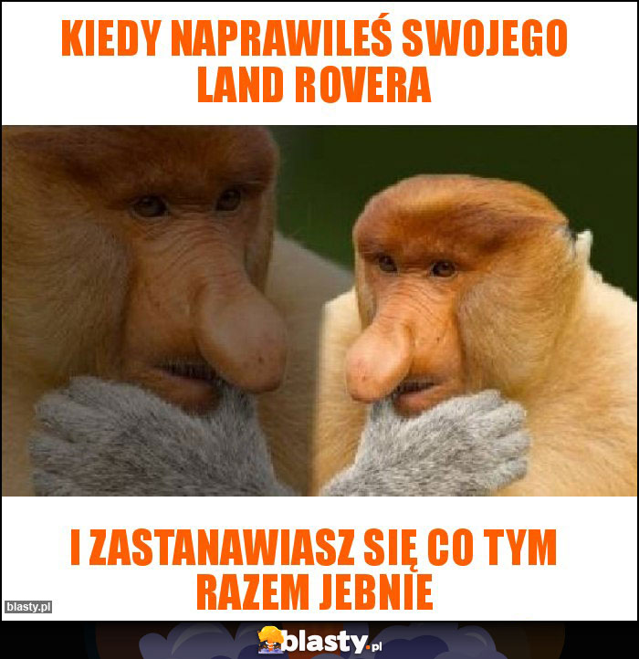 Kiedy naprawileś swojego land rovera