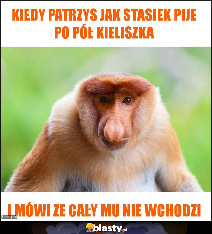 Kiedy patrzys jak Stasiek pije po pół kieliszka