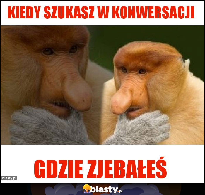 Kiedy szukasz w konwersacji