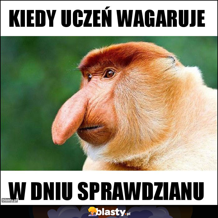 Kiedy Uczeń wagaruje