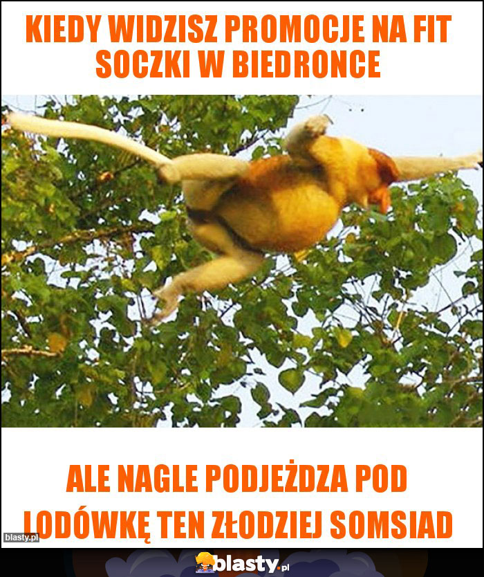 KIEDY WIDZISZ PROMOCJE NA FIT SOCZKI W BIEDRONCE