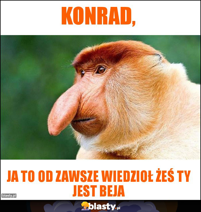 Konrad,