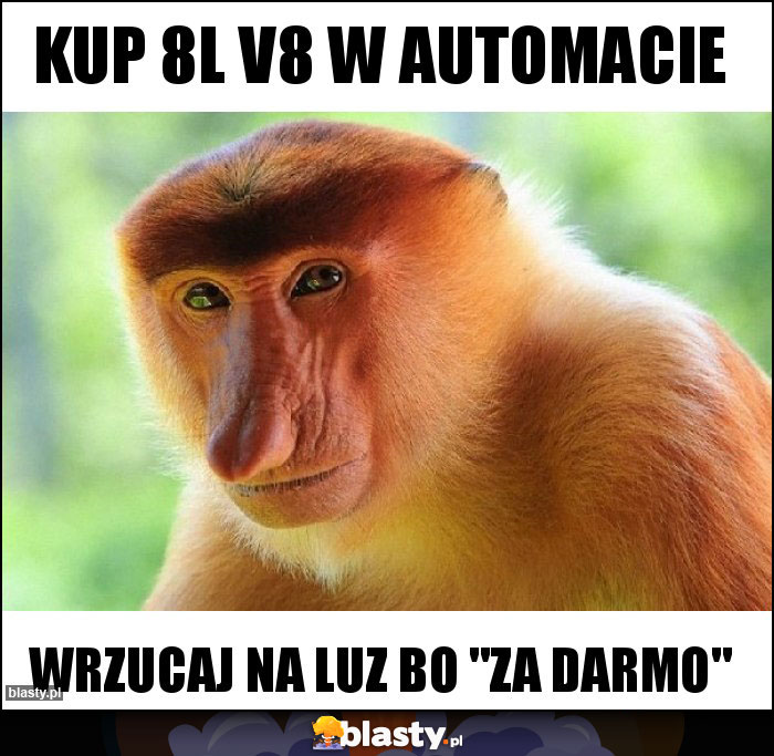 Kup 8L V8 w automacie