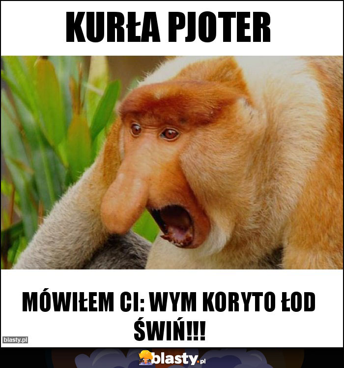 Kurła Pjoter