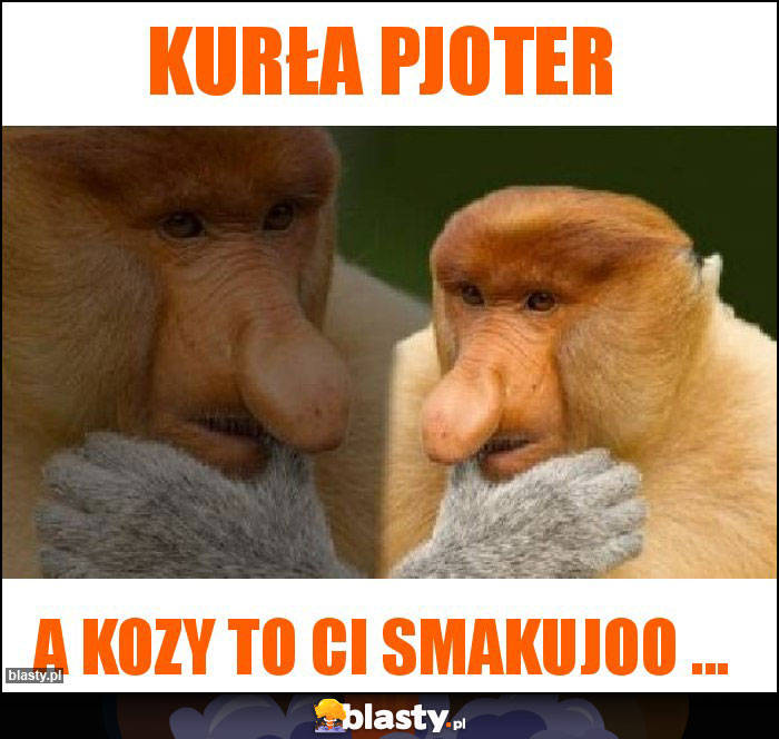 Kurła pjoter