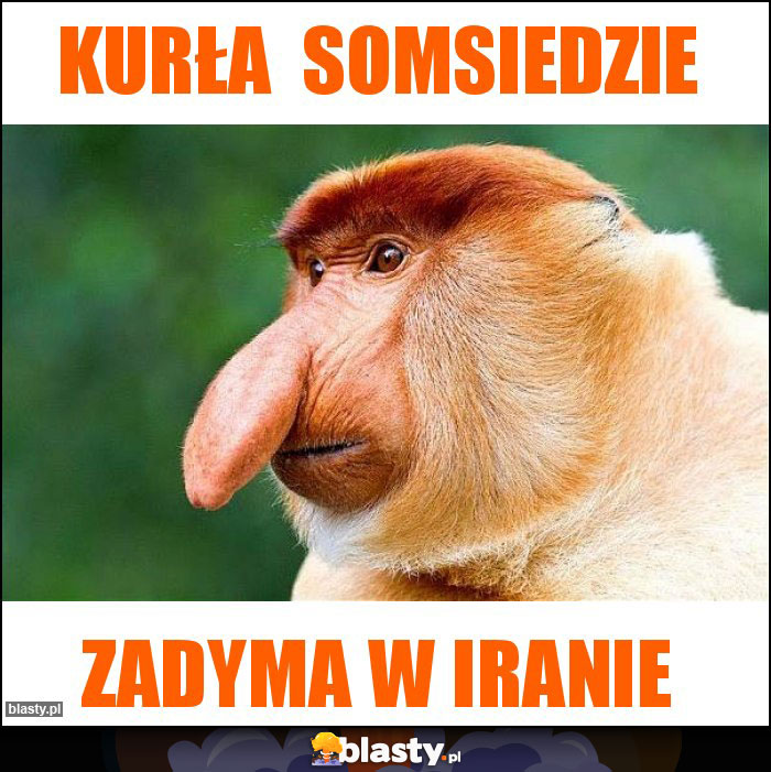 Kurła  somsiedzie